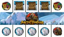 Arctic Fortune